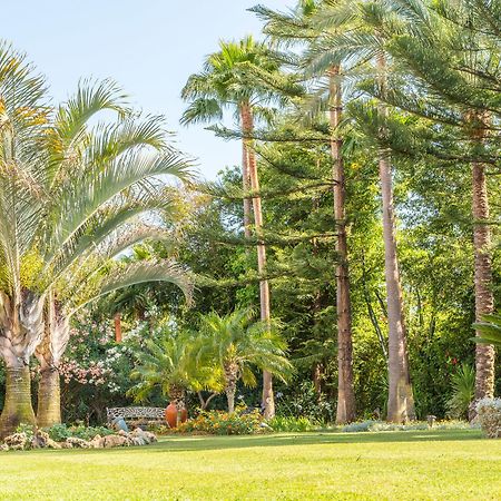 The Grand Oasis Estepona Marbella Exterior foto